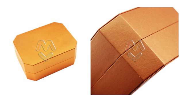 luxury watch case