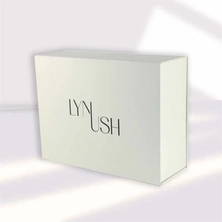 Magnetic Box and Paper Bag Set (5)
